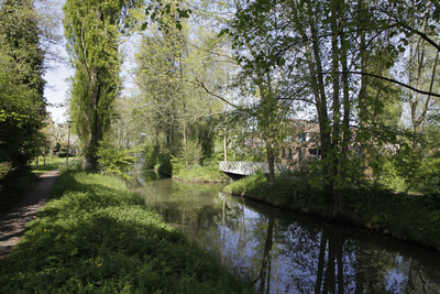 903073 Gezicht op het water tussen de Lotharingen en het Alpenpad te Utrecht.